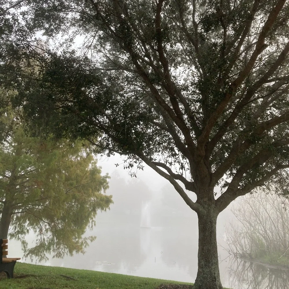 House Blessings, Prosperity, Protection Witch Ball set - Picture 10 of 14